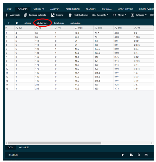 Dataset with all rows associated with the duplicates